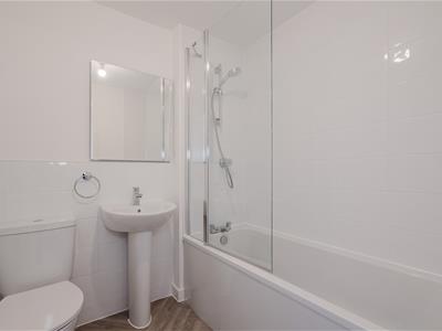 Picture 16